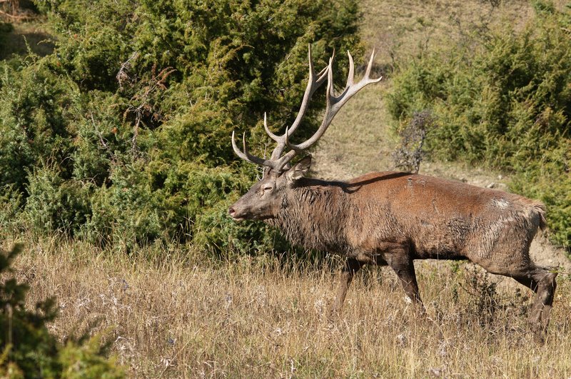 Un''arena molto contesa